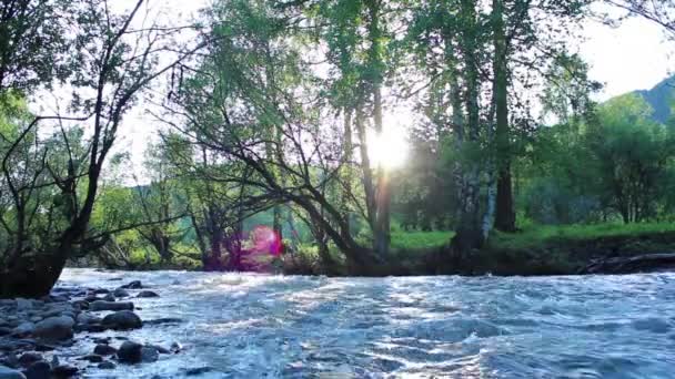 Ποταμός — Αρχείο Βίντεο