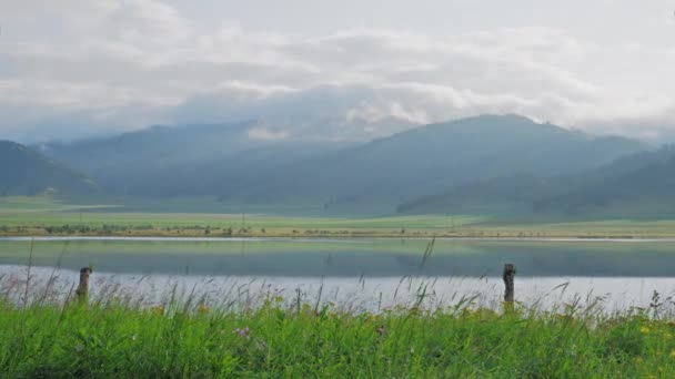 아침에 피콜로 레크 산의 호수야, 알 타이. 산의 아름다운 반사 — 비디오