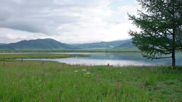 Lago montês pitoresco de manhã, Altai. Belo reflexo de montanhas — Vídeo de Stock