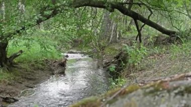 Dağları, ormanı ve önünde bir nehri olan bir manzara.