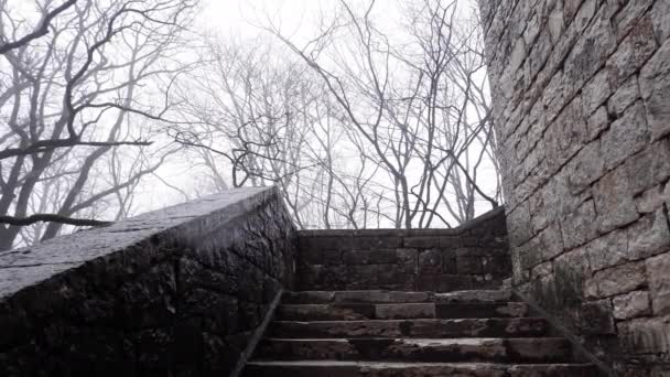 Le vieux château mur de pierre brume forêt — Video