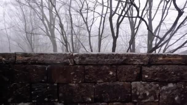 El viejo castillo de piedra de la pared de niebla bosque — Vídeo de stock