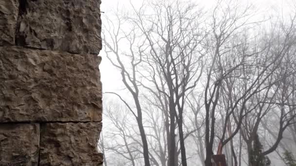Benteng tua dinding hutan kabut batu — Stok Video