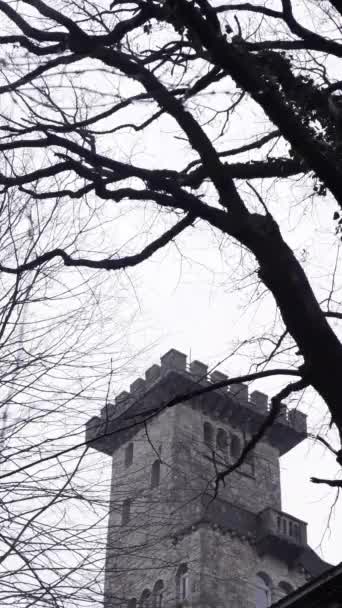 El viejo castillo de piedra de la pared de niebla bosque — Vídeos de Stock