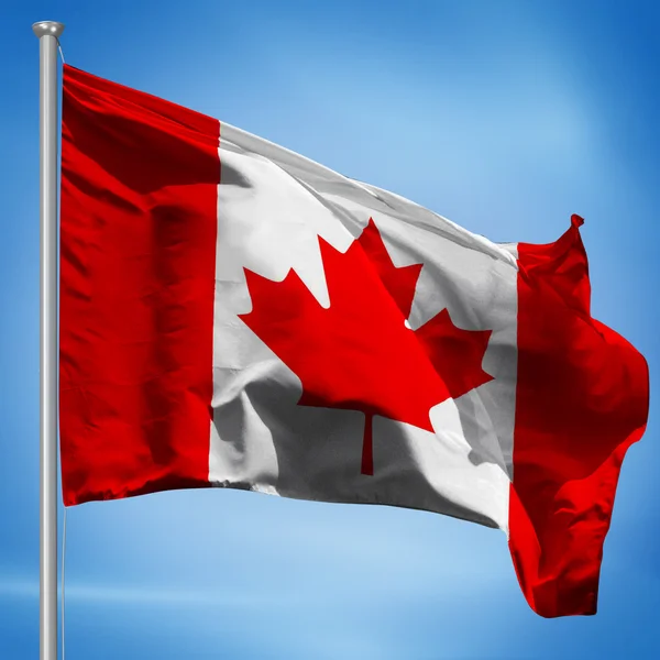 Kanadensisk flagg Stockbild