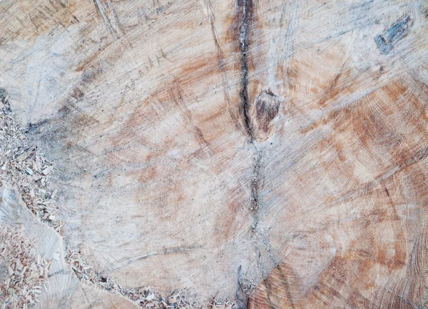 Wood texture — Stock Photo, Image