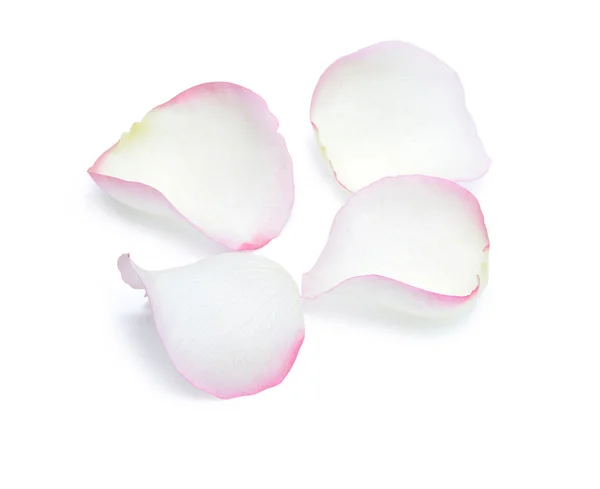 Petals — Stock Photo, Image