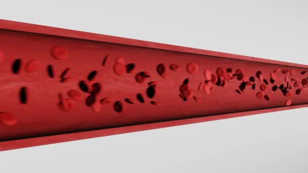 Red Blood Cells Flow Artery Medical Scientific Concept — Stockvideo