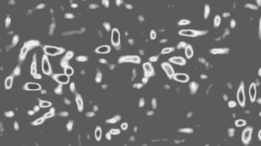 Mikroskop altında bakteri. Virüsün hücreleri ve molekülleri yaşıyor.