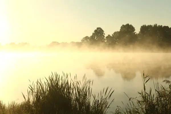 Lever de soleil d'été — Photo