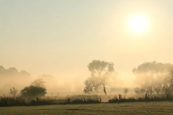 Paisagem de outono ao amanhecer — Fotografia de Stock