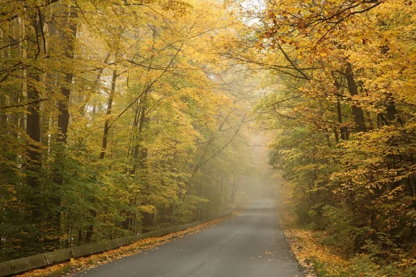 Nebbiosa mattina d'autunno — Foto Stock