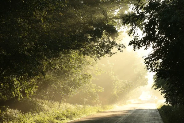 Route de campagne à l'aube — Photo