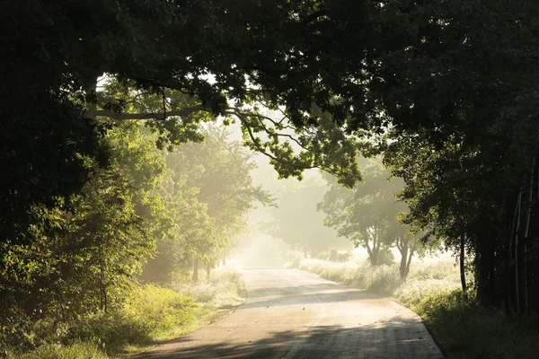 Деревенская дорога на рассвете — стоковое фото