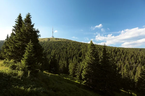 Praděd (1491 m) v České republice — Stock fotografie