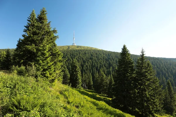 Praded mountain Zirvesi — Stok fotoğraf