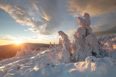 Gün batımında kış manzarası, dağlarda karla kaplı çam ağaçları.