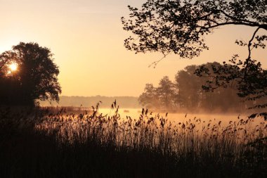 Sunrise over a lake on a foggy spring day.