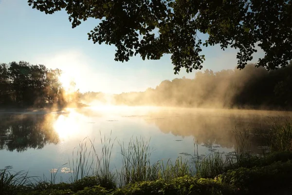 Sisli Bir Yaz Gününde Bir Gölün Üzerinde Gün Doğumu Telifsiz Stok Fotoğraflar