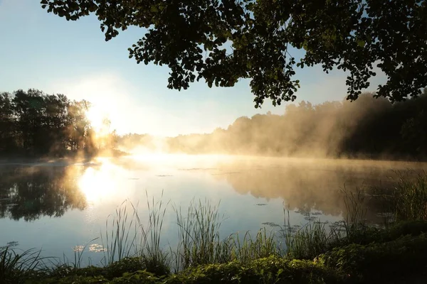 Zonsopgang Boven Een Meer Een Mistige Zomerdag Rechtenvrije Stockfoto's