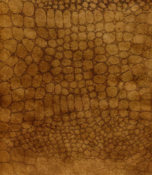 Texture cuir marron — Photo