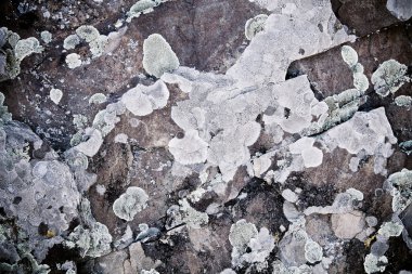 granica witrażowe ściany