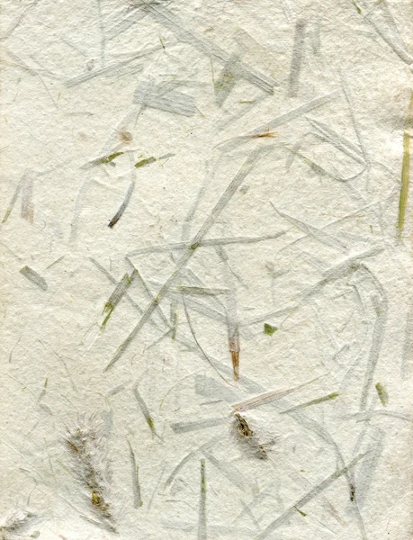 Grunge parede com fundo de grama — Fotografia de Stock