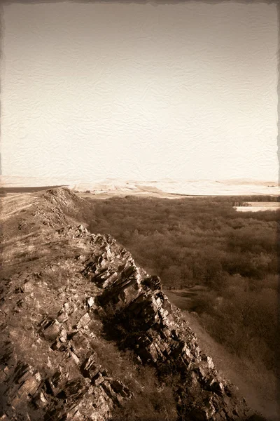 Bir orman ve buzlu bir vintage kağıt Grunge görüntüsü — Stok fotoğraf