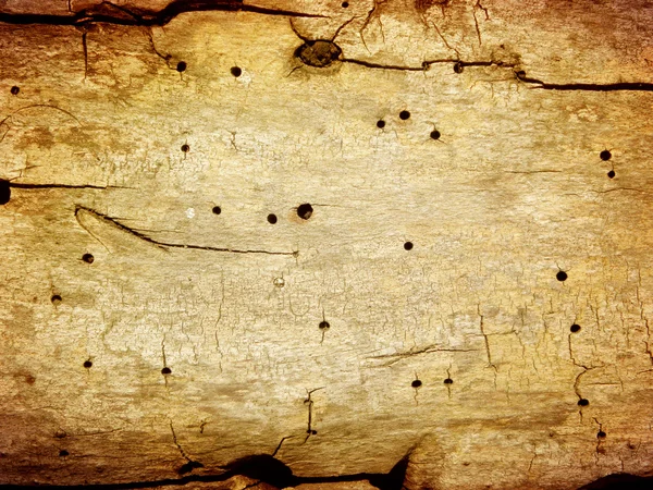 Old wood texture (for background) — Stock Photo, Image