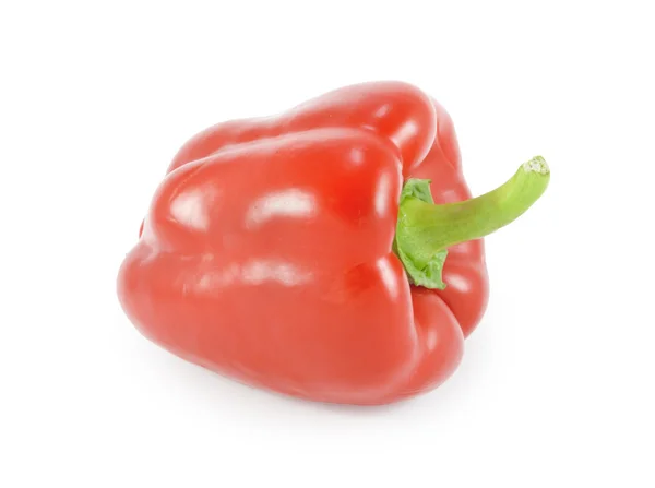 Red pepper on a white background Royalty Free Stock Photos