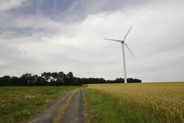 Eolienne avec champs de céréales et petite route — Photo