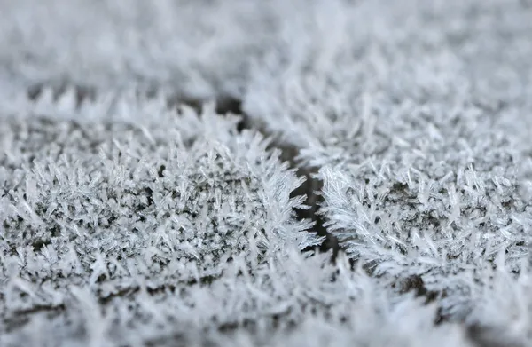 Frost on a Piece of Wood with a Crack — Stock Photo, Image