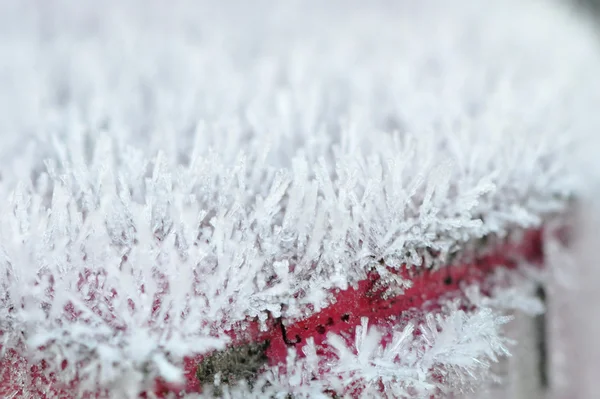 Lot of Frost on a Picket with a Red Line — Stock Photo, Image