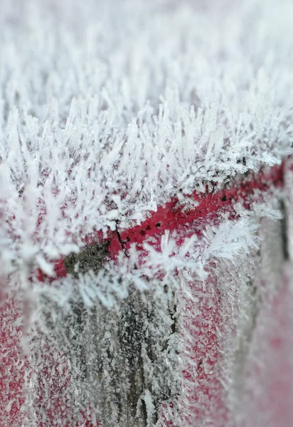 Muchas heladas en un piquete con una línea roja — Foto de Stock