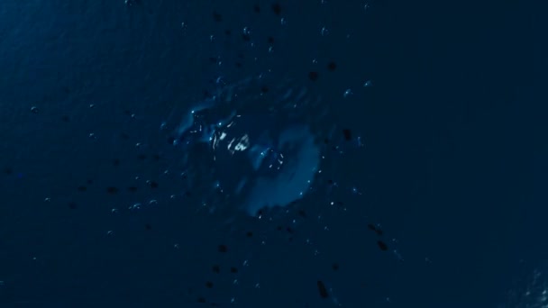 Goutte éclaboussure au ralenti dans un liquide bleu 