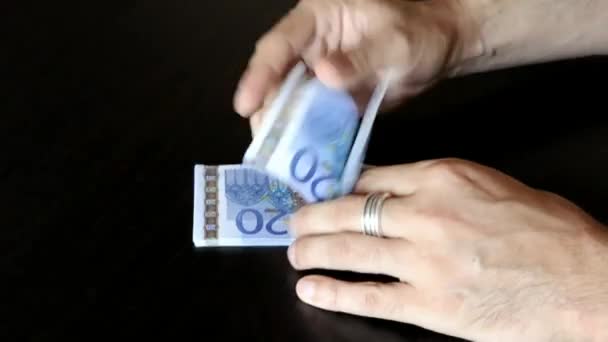 Deux mains d'un homme comptant des billets en euros de vingt — Video