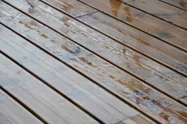 çok ıslak ağaç kalası