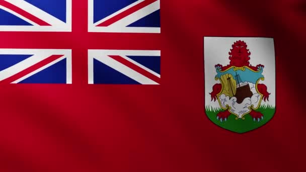 Large Flag Bermudas Island Fullscreen Background Fluttering Wind — Stock Video
