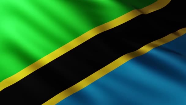 Large Flag Tanzania Fullscreen Background Fluttering Wind — Stock Video