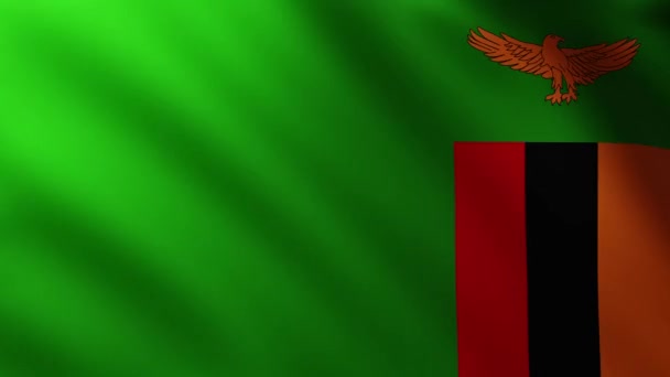 Large Flag Zambia Fullscreen Background Fluttering Wind — Stock Video