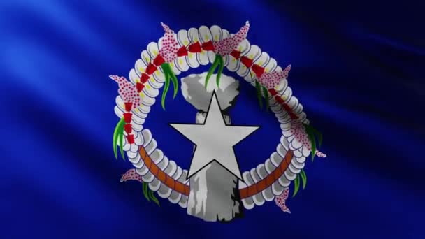 Large Flag Northern Mariana Islands Fullscreen Background Fluttering Wind — Stock Video