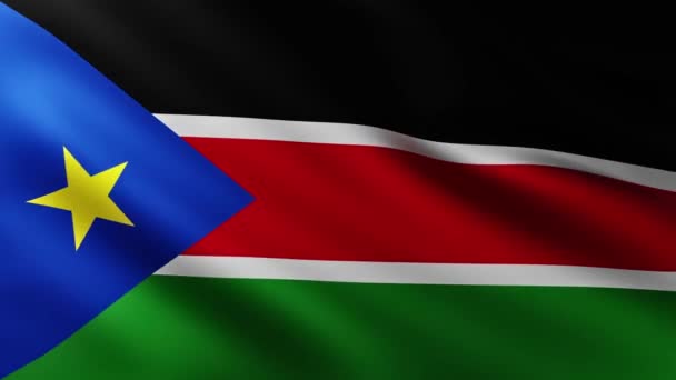 Duża Flaga Sudanu Południowego Pełnym Ekranie Tło Trzepocze Wietrze — Wideo stockowe