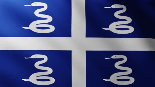 Grote Vlag Van Martinique Island Fullscreen Achtergrond Fladderen Wind — Stockvideo