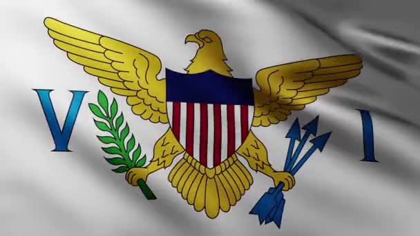 Large Flag United States Virgin Islands Fullscreen Background Fluttering Wind — стоковое видео