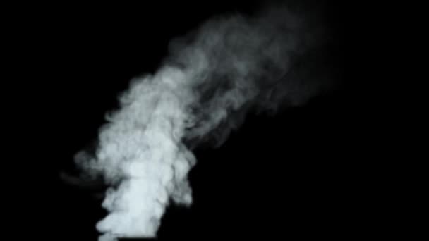 Slow White Grey Chimney Smoke Black Background — Stockvideo
