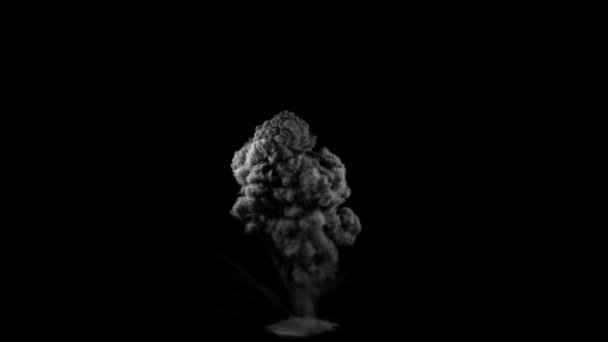 Explozie Mare Densă Vedere Frontală Fum Întunecat Câteva Piese Trasee — Videoclip de stoc