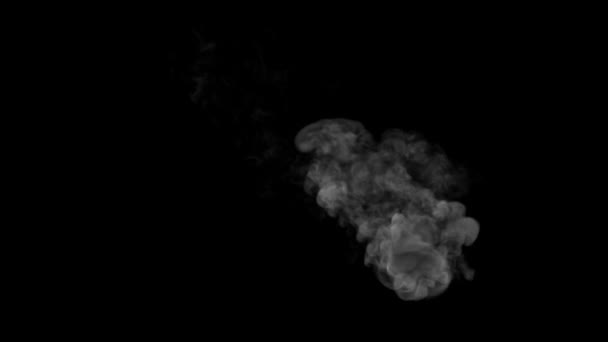 그라운드에서 느리게 움직이는 Wispy Swirly White Smoke — 비디오