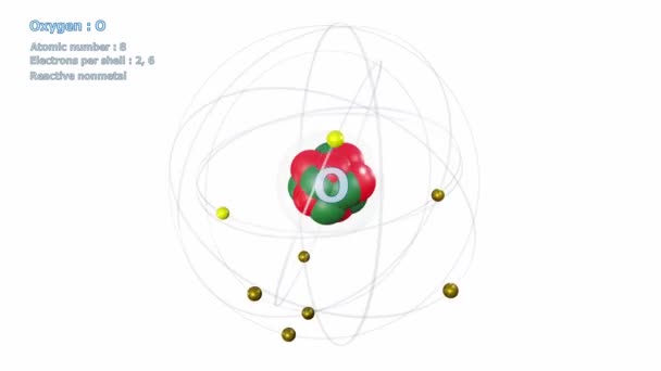 Atom Oxygen Electrons Infinite Orbital Rotation White Background — Stock Video