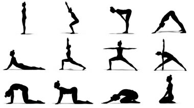 Woman Silhouette of 12 Yoga Side View Poses for Beginners on a White Background