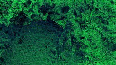 Milyonlarca Minik Yeşil Parçacık Kara zemin üzerinde birçok dalga ve girdapla ekranı dolduruyor.